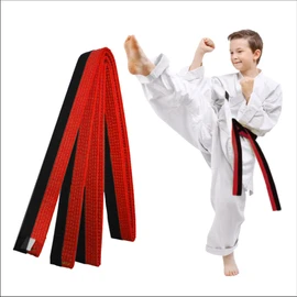 COYUN 1 x 220 cm Red and Black Taekwondo Belt, Judo Belt, Judo Karate Belt, Martial Arts Karate, Judo Taekwondo Belts, Professional Karate Aikido Belt for Children, Adults, Martial Arts Belt