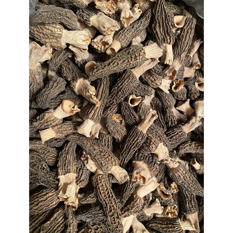 West Virginia Dehydrated Morel Mushrooms, Hand Picked And Perfectly Dried.