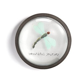 DEMDACO Sharon Nowlan Beautiful Journey Dragonfly Teal 3.5 x 3.5 Glass Paperweight