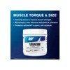 Creatina 1 Kg Gat Monohidratada ( 2 Botes De 500