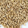Organic Hulled Oat Groats (Hull Removed): 1 Lbs - Non-GMO