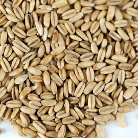 Organic Hulled Oat Groats (Hull Removed): 1 Lbs - Non-GMO Oats - Cereal Grain - Emergency Food Storage, Grains, Rolling for Oatmeal, & More Product Name