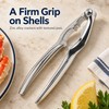 9-Piece Seafood Tools Set – 3 Zinc Alloy Crab Crackers