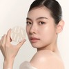 Buyure 세럼핏 루미너스 파우더 2종 Serum Fit Luminous Powder 2