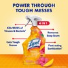 Lysol All Purpose Cleaner Spray, Multi-Purpose Disinfecting Spray, Kitchen &