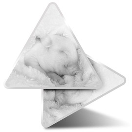 2 x Triangle Stickers 7.5cm - BW - Adorable Sleepy Piglet Piggy Pig Fun Decals for Laptops,Tablets,Luggage,Scrap Booking,Fridges #37897