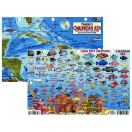 Caribbean Sea Fish Id Card with Island Map 8.5 in by 5.5 in