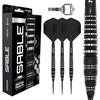 RED DRAGON Darts | Sable 24g Darts Set | Switch