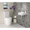 Deco 79 Metal Scroll Toilet Paper Holder with Space to