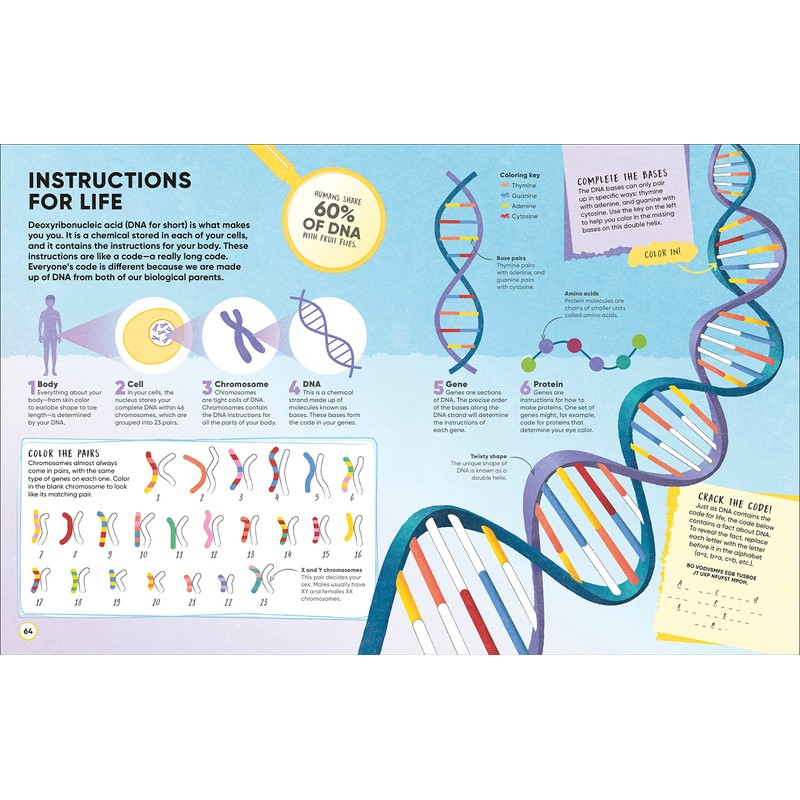 Active Learning! Human Body: More than 100 Brain-Boosting Activities that