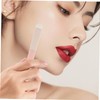 SAFIGLE Makeup Brush Set 2pcs Lip Brush for Travel Applicator