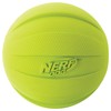 Nerf Dog Rubber Ball Dog Toy with Squeaker, Lightweight, Durable