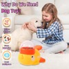 Dog Slow Feeder Interactive Cute Dog Food Puzzle Treat Toy