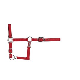 USG Halter with Silver Fittings/ Soft Padded, Shetty, Red