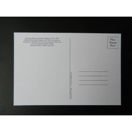 Kingdom of Hawaii Postage Stamp Post Card Portrait of Princess Likelike