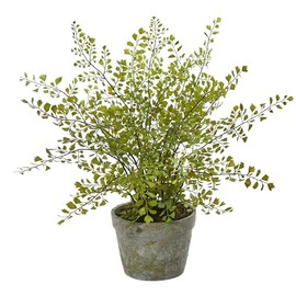 HomeStock Country Cottage 16" Maiden Hair and Fern Artificial Plant in Decorative Grey Planter with Moss, Indoor Home Decor Accent, No-Maintenance, Life-Like Foliage, 16" D x 16" W x 13" H