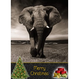 Elephant Christmas Card 'Merry Christmas' - Special Xmas Card for Him Her Kids Male Female