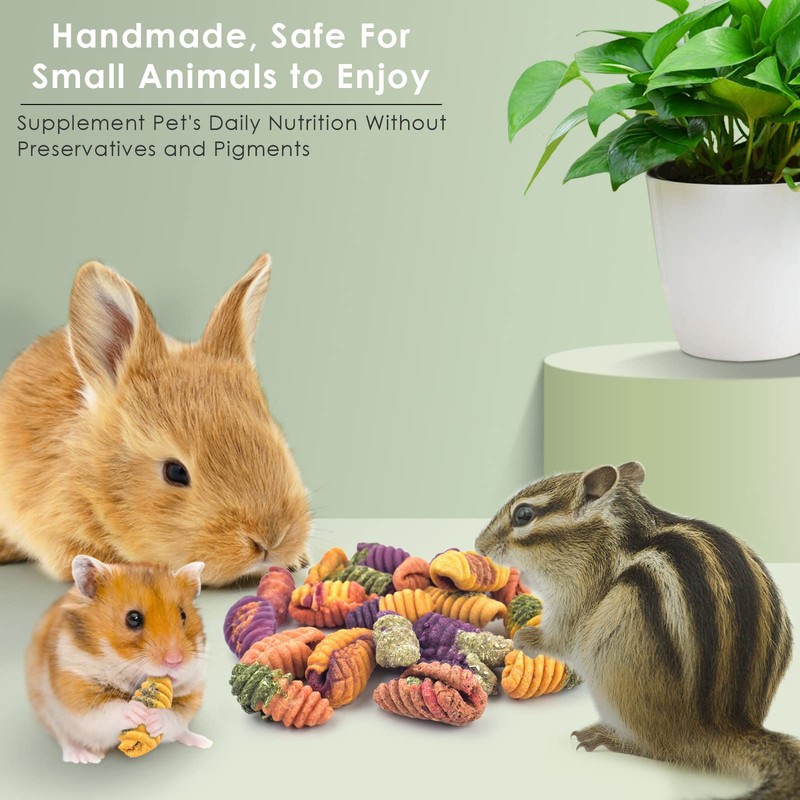 ERKOON Chinchilla Treats, Chew Toys for Teeth for Rabbit Guinea