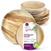 GoBeTree 24 Palm Leaf Plates, Palm Leaf Tableware Like Bamboo