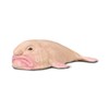Collecta Borron Fish Collectible Figure Size M +3 (Deqube 90180037)