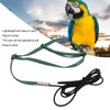Bird Harness Leash Adjustable Elastic Flying Training Parrot Traction Rope