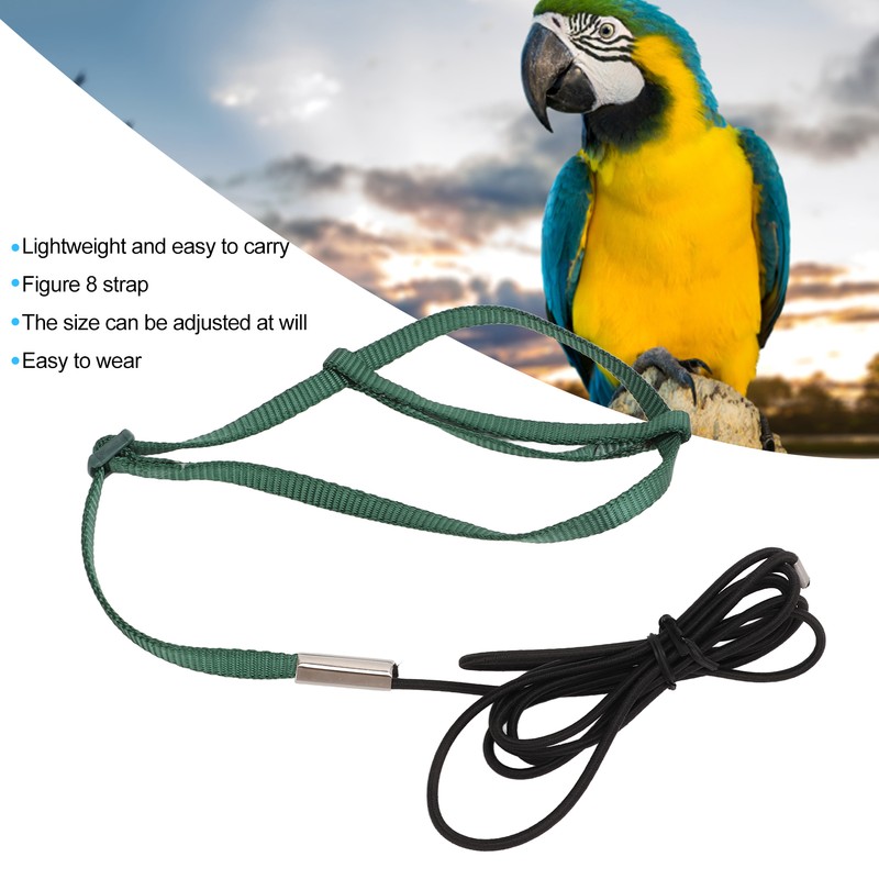 Bird Harness Leash Adjustable Elastic Flying Training Parrot Traction Rope