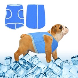 Dog Cooling Vest Coat, Refreshing Summer Pet Jacket Harness for Most Dogs,Size s 25cm,Blue,Lightweight and Portable,Tape for Outdoor Play Training Camping