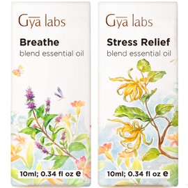 Gya Labs Breathe Essential Oil for Humidifier Cleaner & Stress Relief Essential Oil for Calming Set - 100% Natural Aromatherapy Grade Essential Oils Set - 2x10ml - Gya Labs