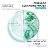 Garnier Hyaluronic Aloe Hydrating Micellar Cleansing Water 400ml