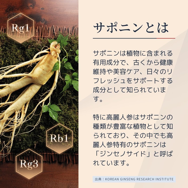 정관장 (Jeongganjang) Red Ginseng Extract Korean Ginseng Supplement Korean Ginseng