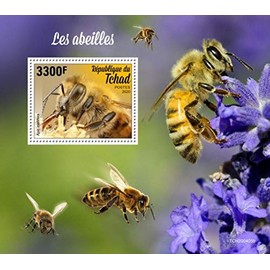Chad - 2020 Western Honey Bees - Stamp Souvenir Sheet - TCH200405b