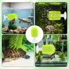 2 Pcs Turtle Brush with Suction Cups, 2 Large Decorative