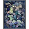 Bead Mixes By Color:_Purple Mix_Regular - $15.99