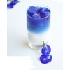 100% Pure Butterfly Pea Flower Tea - 100 g by