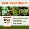 CoreTex Ivy X Pre-Contact Poison Ivy Wipes - Pack of