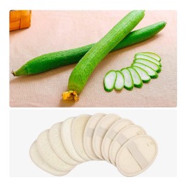 Mooerca Paquete De 10 Esponjas Exfoliantes Para Lufa, Grandes 4 X 5.