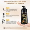 Black Hair Dye Shampoo 3 in 1, Shampoo para Canas