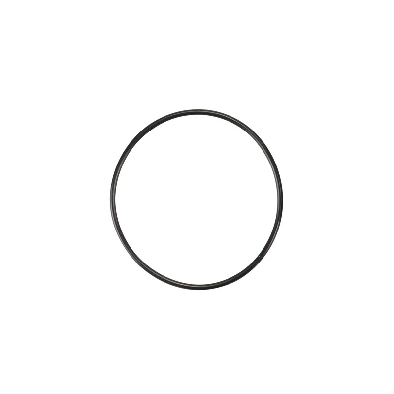 Onseeda Impeller & O-Ring Kit Fits for Milwaukee M18 Transfer