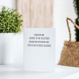 Funny Valentines Day Cards For Her or Him, Valentines Day Card for Husband or Wife, Girlfriend or Boyfriend, Single 4.25 X 5.5 Greeting Card With Envelope, Blank Inside, We Are Meant To Be Together Because We Both Know That This Is Not A Real Holiday By Modern Wit