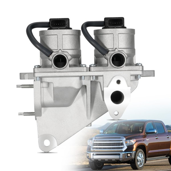 loosoo 25710-31011 Secondary Air Injection Valve, Air Pump Check Valve