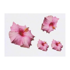 4 x 'Pink Hibiscus Flower' Temporary Tattoos - Water Resistant, Skin-Safe, Non-Toxic Transfers, Mixed Sizes (TO00076130)