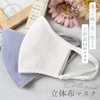 FLOWERS lab (Set of 2) Made in Japan, Mask, Washable,