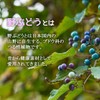 Lipsa Wild Grape Grains, Approx. 1 Month Work, T-754 (150