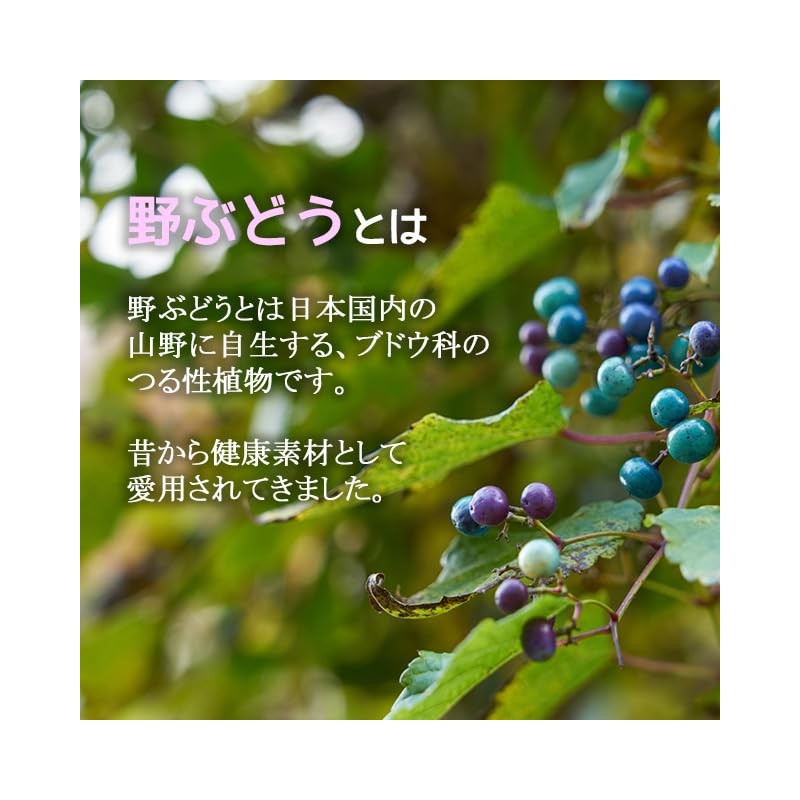Lipsa Wild Grape Grains, Approx. 1 Month Work, T-754 (150