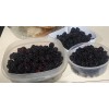 Unbranded 5-Southern Wild Blackberry Bush Live,Starter Plants Bare Root Edible