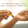 EGREEN MART EGREEN MART Body Oil Perfume Compatible with Donna