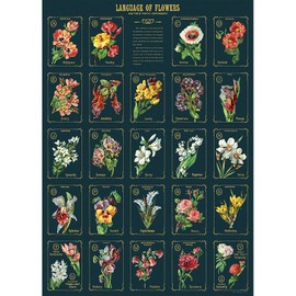 Cavallini Decorative Paper - Language of Flowers 2 20"x28" Sheet