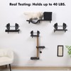 5-in-1 Cat Wall Shelves, Multi-Level Cat Climbing Furniture, Perch &