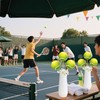 Tennis Party Decoration 22pcs Tennis Ball Centerpiece Sticks Tennis Theme