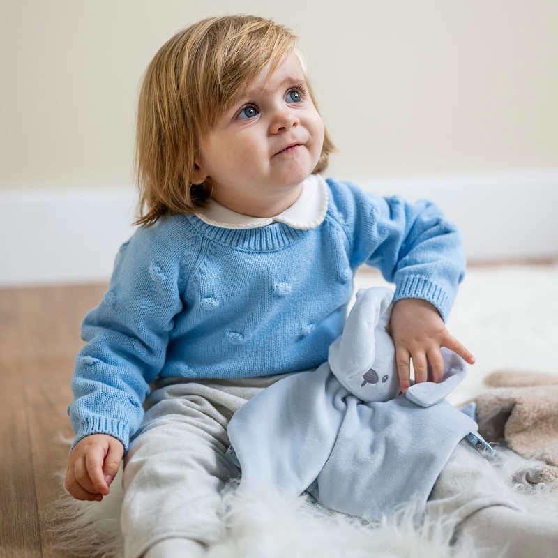 Nattou Lapidou Comforter Blanket Rabbit Pastel Blue 27 cm